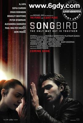 鸣鸟(2020)HD高清迅雷网盘磁力下载