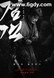 剑客(2020)HD高清迅雷网盘磁力下载