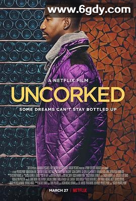 醇美人生(2020)HD高清迅雷网盘磁力下载