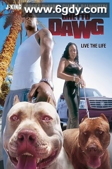 痞子城市(2002)HD高清迅雷网盘磁力下载