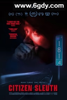 Citizen Sleuth(2023)HD高清迅雷网盘磁力下载