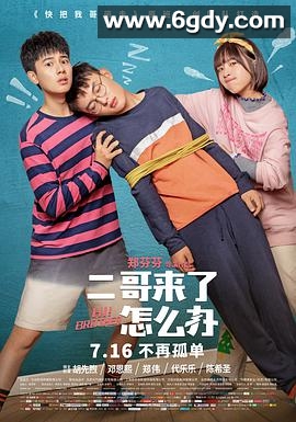 二哥来了怎么办(2021)HD高清迅雷网盘磁力下载