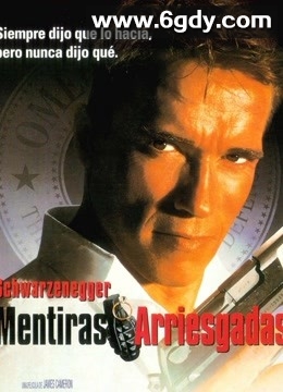 真实的谎言(1994)HD高清迅雷网盘磁力下载