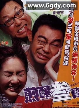 煎酿三宝(2004)HD高清迅雷网盘磁力下载