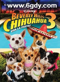 比佛利拜金狗3(2012)HD高清迅雷网盘磁力下载