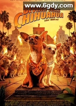 比佛利拜金狗(2008)HD高清迅雷网盘磁力下载