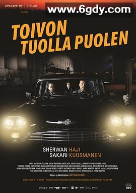 希望的另一面(2017)HD高清迅雷网盘磁力下载