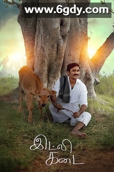 非暴力小馆(2025)HD高清迅雷网盘磁力下载