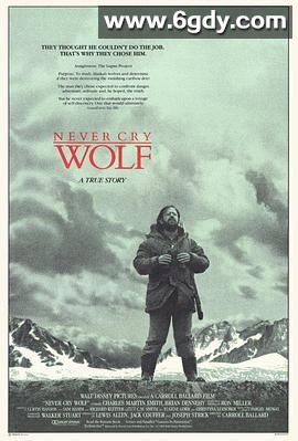 狼踪(1983)超清高清迅雷网盘磁力下载