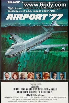 国际机场1977(1977)HD高清迅雷网盘磁力下载