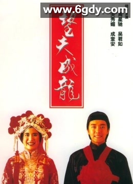 望夫成龙(1990)HD高清迅雷网盘磁力下载