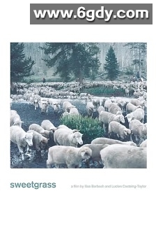 香草(2009)HD高清迅雷网盘磁力下载