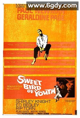 春浓满楼情痴狂(1962)HD高清迅雷网盘磁力下载