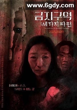 禁区：三个碎片(2025)HD高清迅雷网盘磁力下载