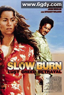 边城夺宝记(2000)超清高清迅雷网盘磁力下载