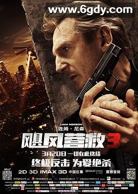 飓风营救3(2014)HD高清迅雷网盘磁力下载