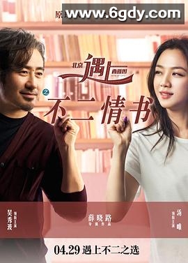北京遇上西雅图之不二情书(2016)HD高清迅雷网盘磁力下载
