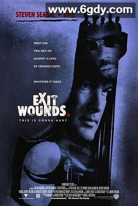 以毒攻毒(2001)HD高清迅雷网盘磁力下载