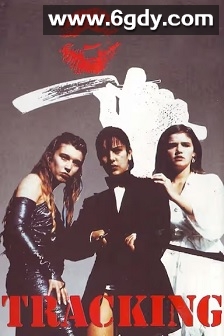 跟踪(1981)HD高清迅雷网盘磁力下载