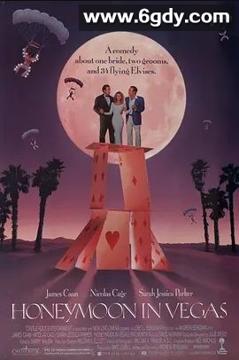 赌城蜜月(1992)超清高清迅雷网盘磁力下载