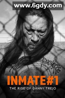 丹尼·特雷霍的崛起(2019)HD高清迅雷网盘磁力下载