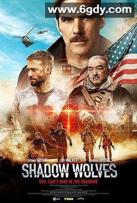 暗影出击(2019)HD高清迅雷网盘磁力下载