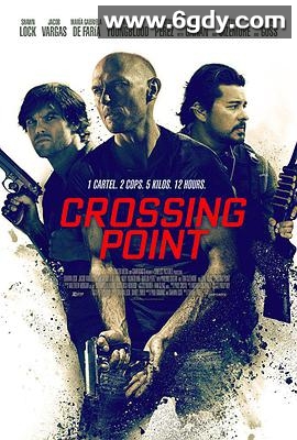 交叉封锁线(2016)HD高清迅雷网盘磁力下载