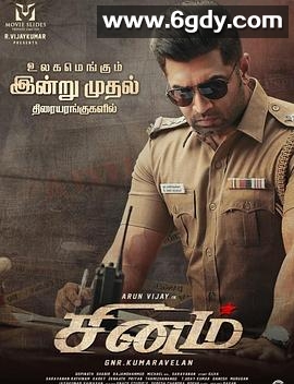 愤怒的警官(2022)HD高清迅雷网盘磁力下载