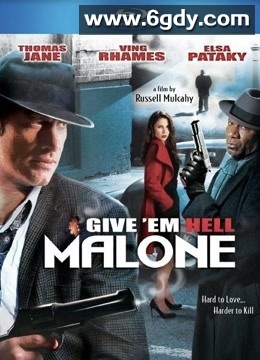 侦探马龙(2009)HD高清迅雷网盘磁力下载