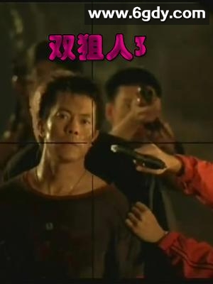 双狙人3(2004)HD高清迅雷网盘磁力下载