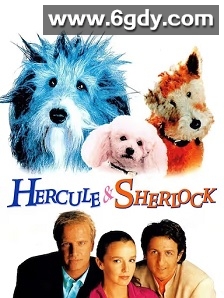 Hercule and Sherlock(1996)HD高清迅雷网盘磁力下载