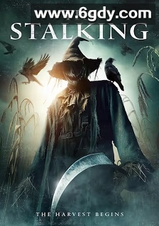 跟综狂(2024)HD高清迅雷网盘磁力下载