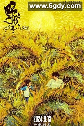 野孩子(2024)HD高清迅雷网盘磁力下载