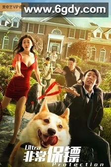 非常保镖(2021)HD高清迅雷网盘磁力下载