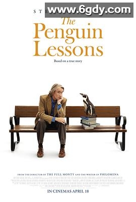 企鹅课(2024)HD高清迅雷网盘磁力下载