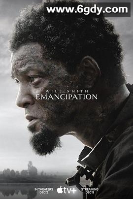 解放黑奴(2022)HD高清迅雷网盘磁力下载