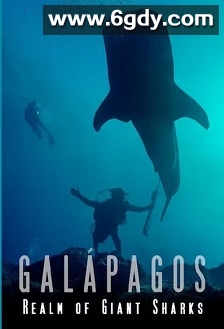 加拉帕戈斯群岛：巨大鲨鱼王国(2012)HD高清迅雷网盘磁力下载