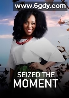 Seized the moment(2025)HD高清迅雷网盘磁力下载