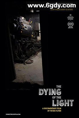 迎向光影消逝的年代(2015)DVD高清迅雷网盘磁力下载