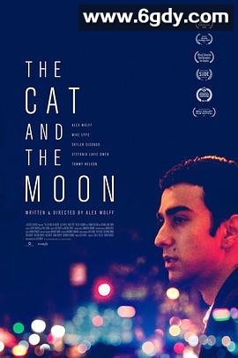 猫与月亮(2019)HD高清迅雷网盘磁力下载