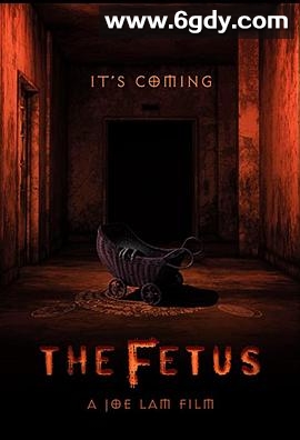 胎儿(2025)HD高清迅雷网盘磁力下载