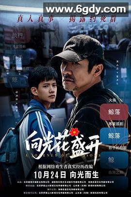 向光花盛开(2025)HD高清迅雷网盘磁力下载