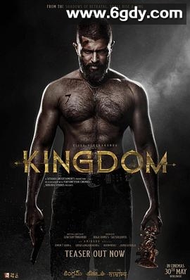 王国(2025)HD高清迅雷网盘磁力下载