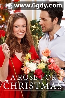 玫瑰圣诞情缘(2017)HD高清迅雷网盘磁力下载