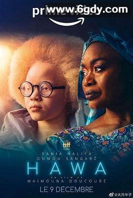 哈瓦(2022)HD高清迅雷网盘磁力下载