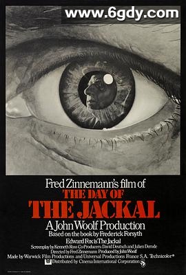 豺狼的日子(1973)HD高清迅雷网盘磁力下载