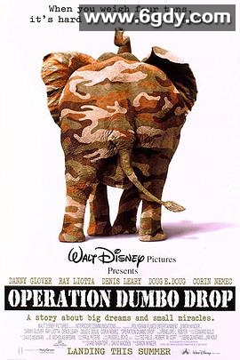 飞象计划(1995)HD高清迅雷网盘磁力下载