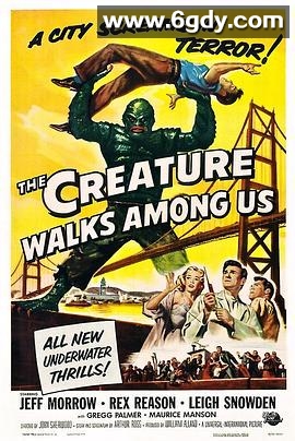 黑湖妖就在我们之间(1956)超清高清迅雷网盘磁力下载