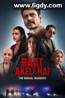 孤夜：豪门血案(2025)HD高清迅雷网盘磁力下载