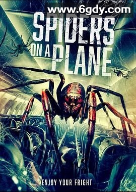 航班蛛患(2024)HD高清迅雷网盘磁力下载